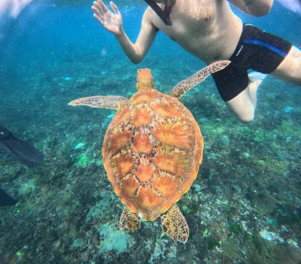 Lembongan Regular Snorkeling Packages - Image 3
