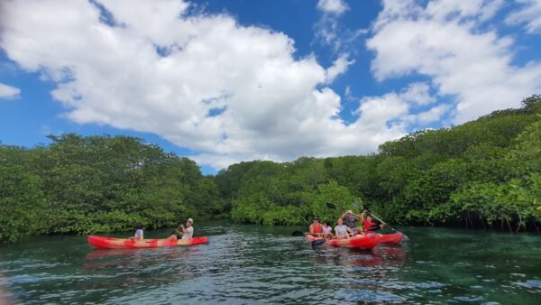 Lembongan Tour Island Packages From Sanur - Image 2