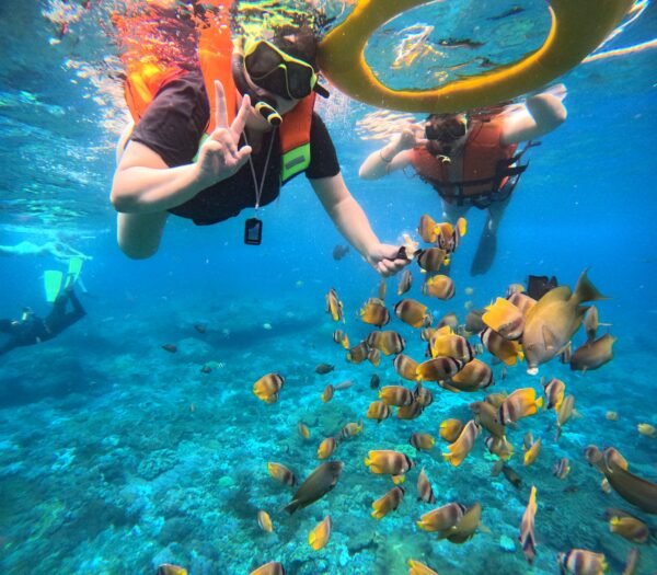 Lembongan Private Snorkeling Packages - Image 4