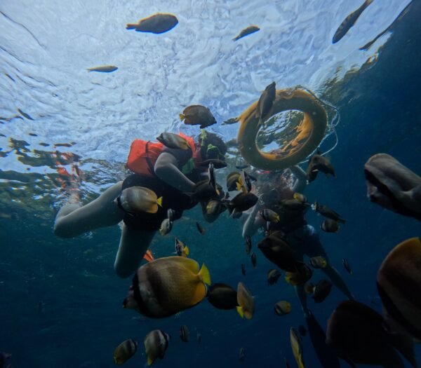 Lembongan Private Snorkeling Packages - Image 5
