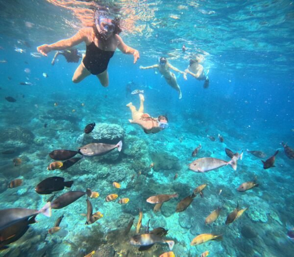 Lembongan Private Snorkeling Packages - Image 7